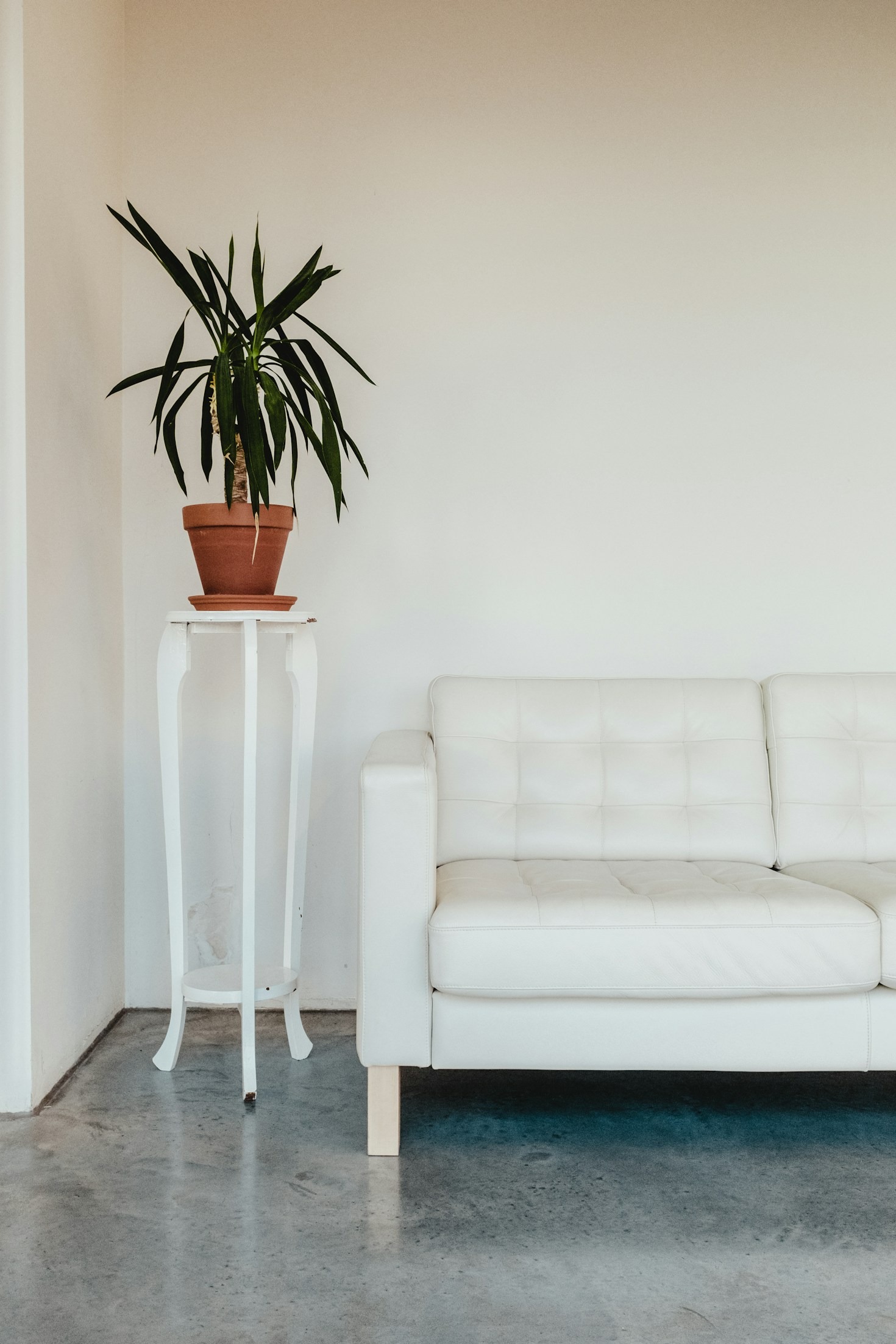 5 Simple Habits to Start Living a Minimalist Life
