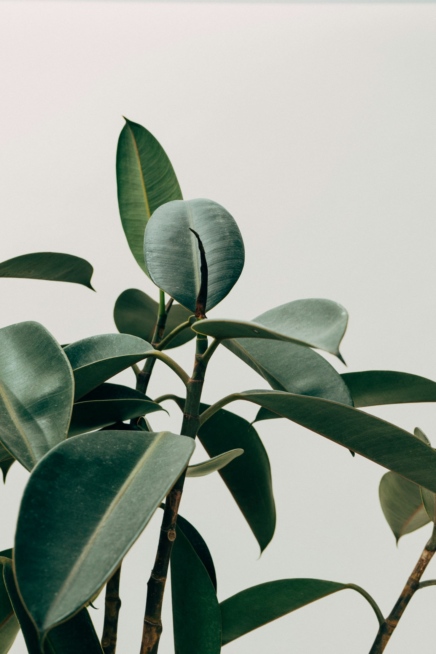 How I Got Into Minimalism (And Why I Never Looked Back)